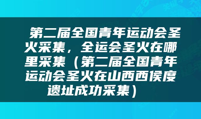  第二届全国青年运动会圣火采集，全运会圣火在哪里采集（第二届全国青年运动会圣火在山西西侯度遗址成功采集） 