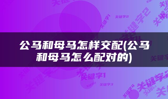 公马和母马怎样交配(公马和母马怎么配对的)