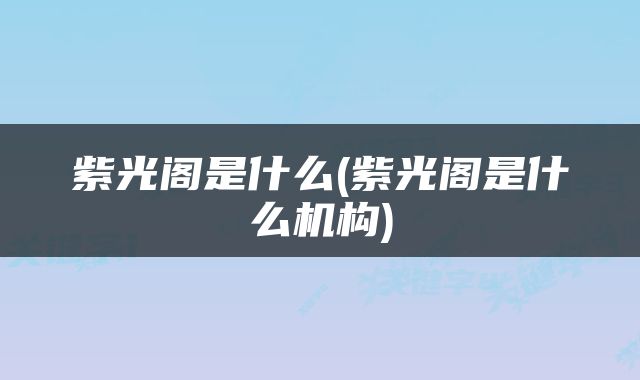 紫光阁是什么(紫光阁是什么机构)