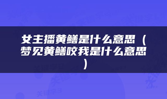 女主播黄鳝是什么意思（梦见黄鳝咬我是什么意思）
