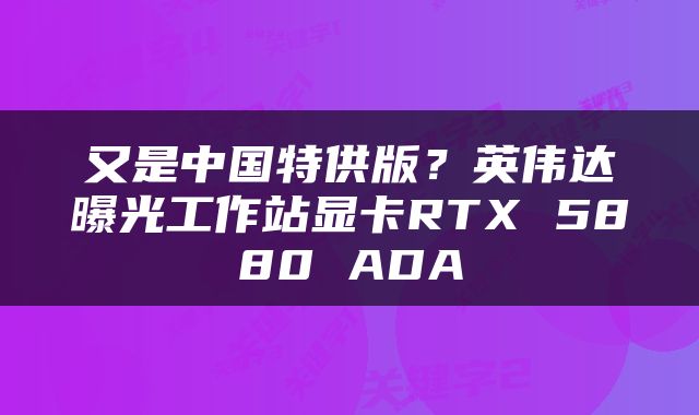 又是中国特供版?英伟达曝光工作站显卡RTX 5880 ADA