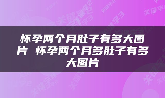 怀孕两个月肚子有多大图片 怀孕两个月多肚子有多大图片