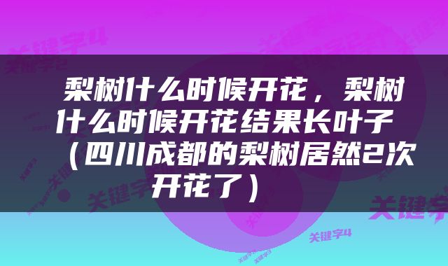  梨树什么时候开花，梨树什么时候开花结果长叶子（四川成都的梨树居然2次开花了） 