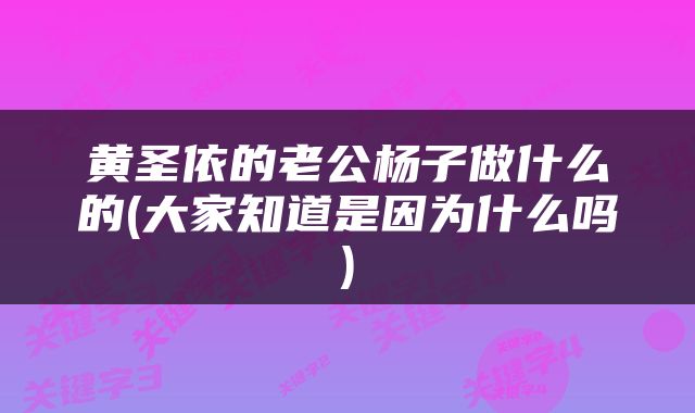黄圣依的老公杨子做什么的(大家知道是因为什么吗)