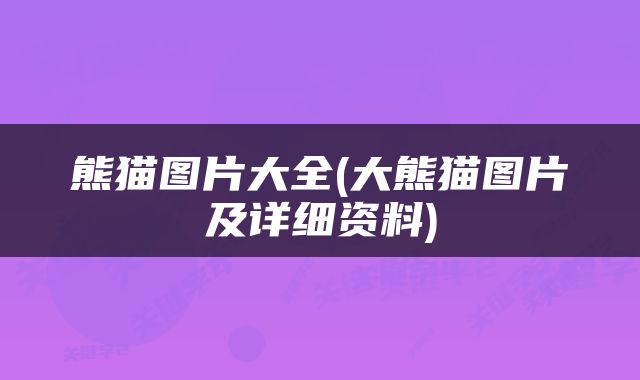熊猫图片大全(大熊猫图片及详细资料)