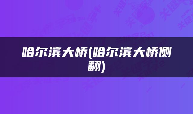 哈尔滨大桥(哈尔滨大桥侧翻)