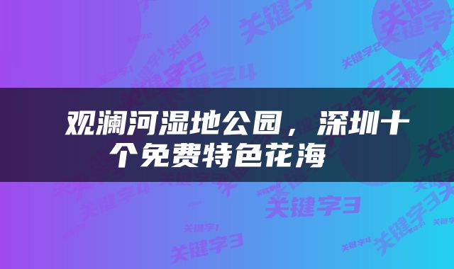  观澜河湿地公园，深圳十个免费特色花海 