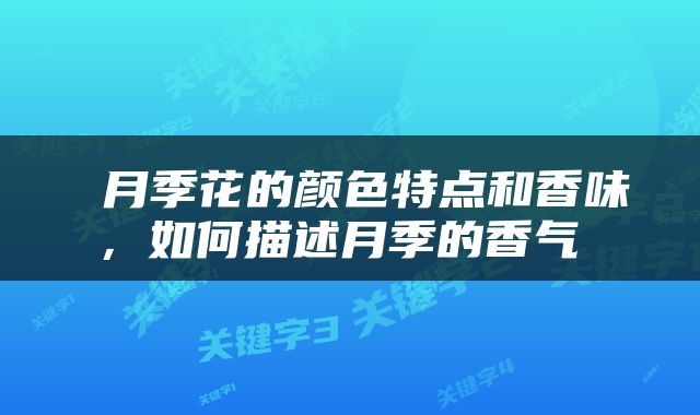  月季花的颜色特点和香味，如何描述月季的香气 