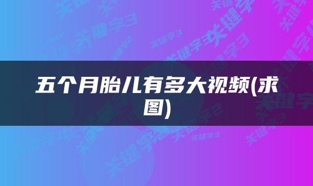 五个月胎儿有多大视频(求图)