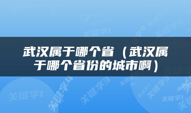 武汉属于哪个省（武汉属于哪个省份的城市啊）