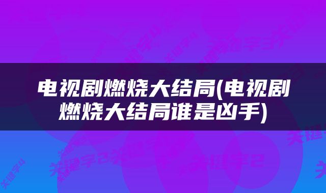 电视剧燃烧大结局(电视剧燃烧大结局谁是凶手)
