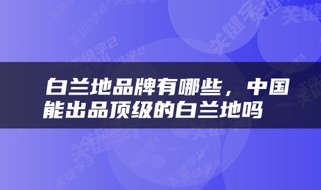  白兰地品牌有哪些，中国能出品顶级的白兰地吗 