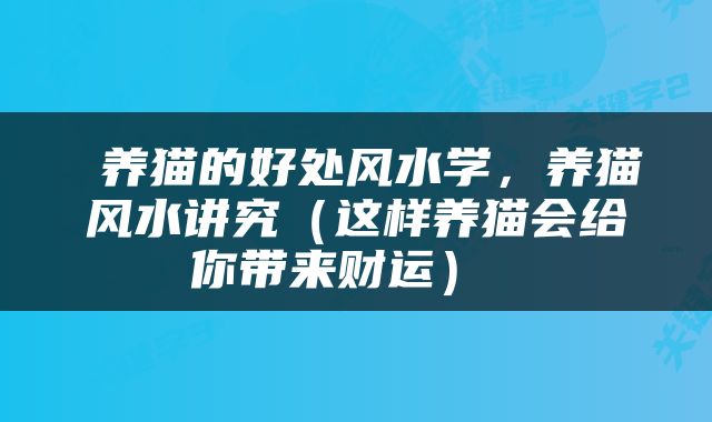  养猫的好处风水学，养猫风水讲究（这样养猫会给你带来财运） 