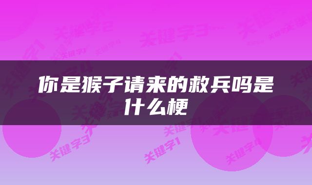 你是猴子请来的救兵吗是什么梗