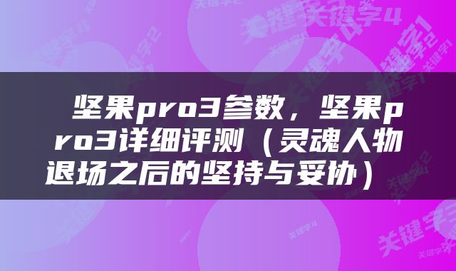  坚果pro3参数，坚果pro3详细评测（灵魂人物退场之后的坚持与妥协） 
