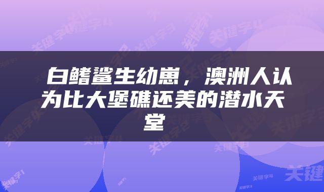  白鳍鲨生幼崽，澳洲人认为比大堡礁还美的潜水天堂 