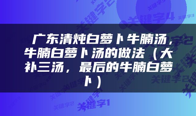  广东清炖白萝卜牛腩汤，牛腩白萝卜汤的做法（大补三汤，最后的牛腩白萝卜） 
