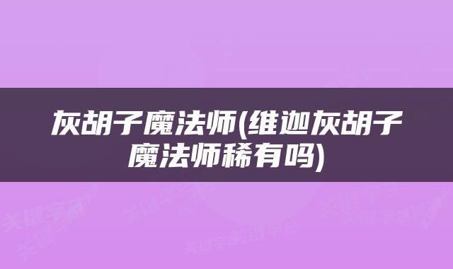 灰胡子魔法师(维迦灰胡子魔法师稀有吗)
