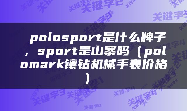  polosport是什么牌子，sport是山寨吗（polomark镶钻机械手表价格） 