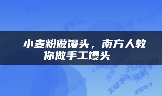  小麦粉做馒头，南方人教你做手工馒头 