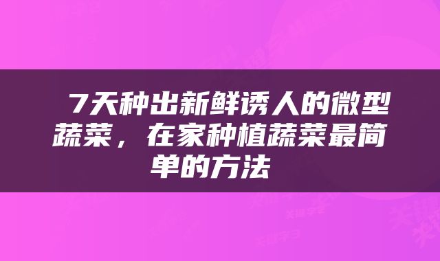  7天种出新鲜诱人的微型蔬菜，在家种植蔬菜最简单的方法 