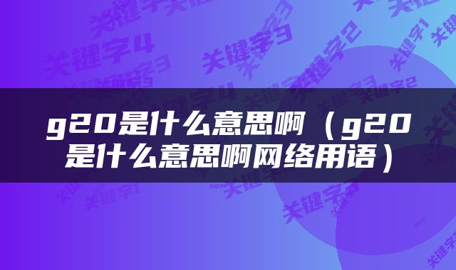 g20是什么意思啊（g20是什么意思啊网络用语）