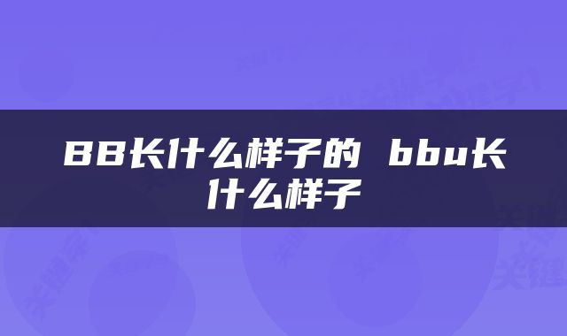 BB长什么样子的 bbu长什么样子