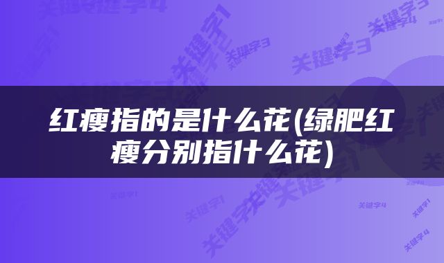 红瘦指的是什么花(绿肥红瘦分别指什么花)