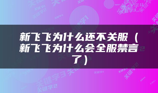 新飞飞为什么还不关服（新飞飞为什么会全服禁言了）