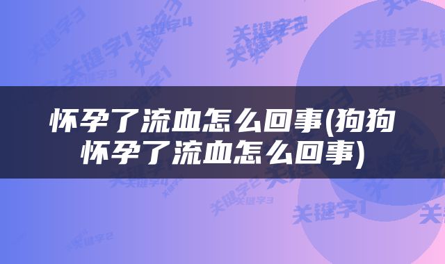 怀孕了流血怎么回事(狗狗怀孕了流血怎么回事)