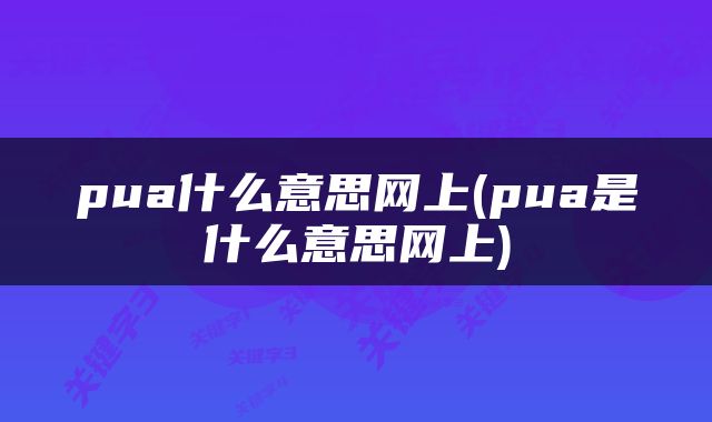 pua什么意思网上(pua是什么意思网上)
