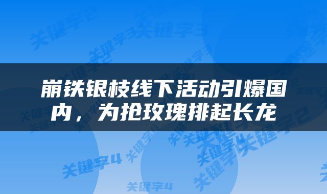 崩铁银枝线下活动引爆国内，为抢玫瑰排起长龙