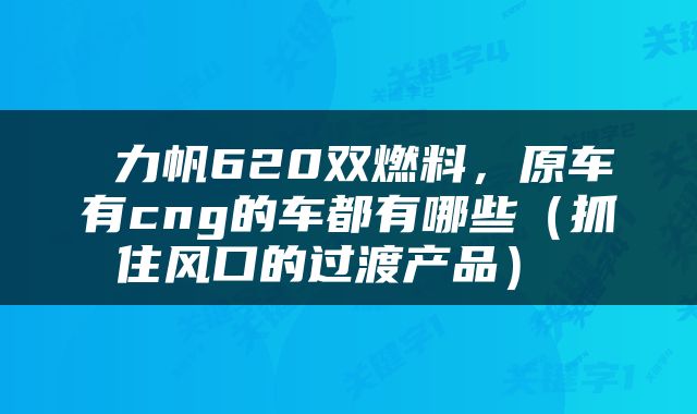  力帆620双燃料，原车有cng的车都有哪些（抓住风口的过渡产品） 