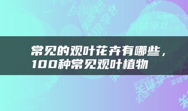 常见的观叶花卉有哪些,100种常见观叶植物
