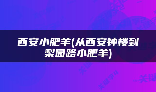 西安小肥羊(从西安钟楼到梨园路小肥羊)