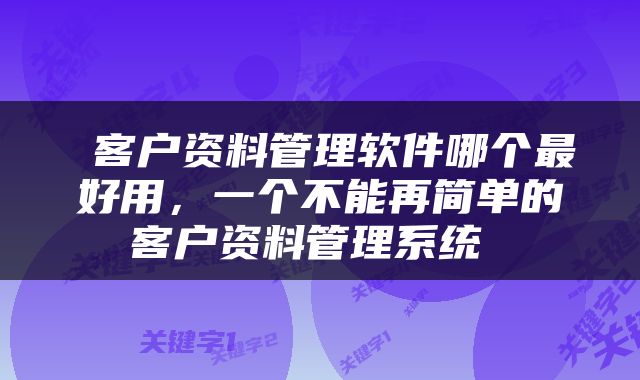  客户资料管理软件哪个最好用，一个不能再简单的客户资料管理系统 