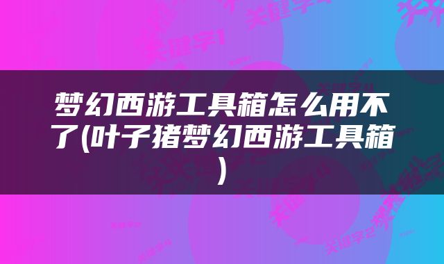 梦幻西游工具箱怎么用不了(叶子猪梦幻西游工具箱)