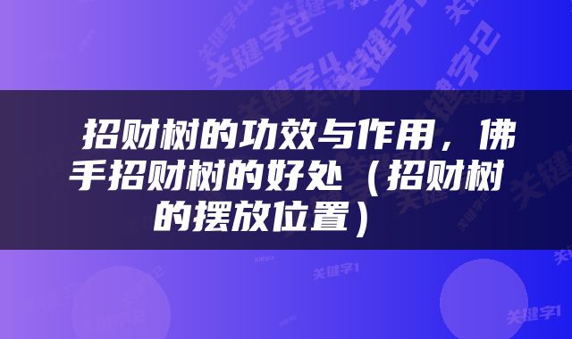  招财树的功效与作用，佛手招财树的好处（招财树的摆放位置） 