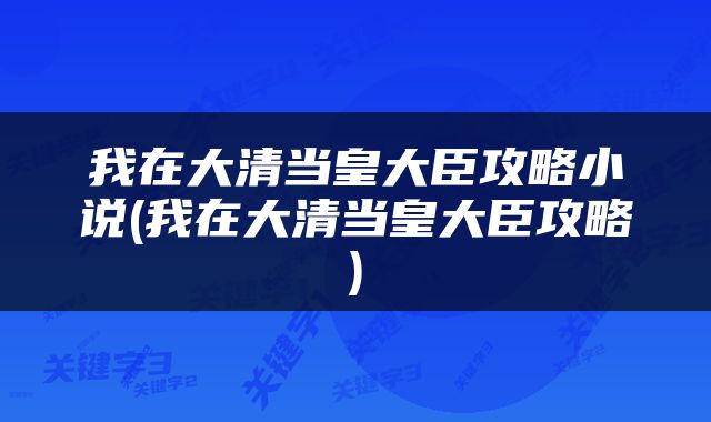 我在大清当皇大臣攻略小说(我在大清当皇大臣攻略)