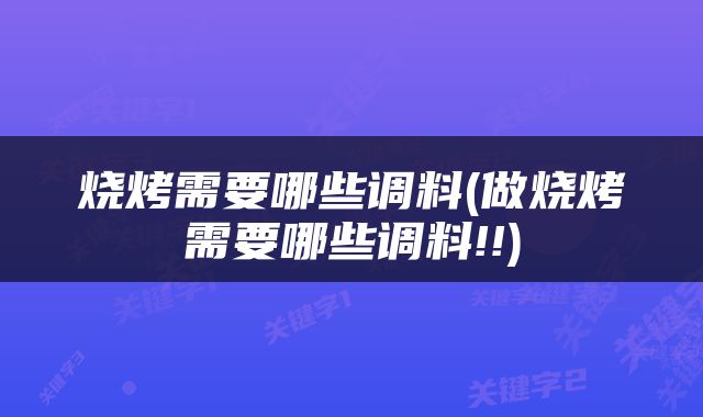 烧烤需要哪些调料(做烧烤需要哪些调料!!)