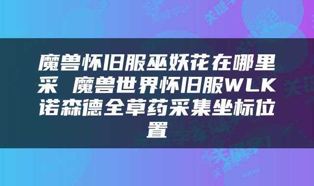 魔兽怀旧服巫妖花在哪里采 魔兽世界怀旧服WLK诺森德全草药采集坐标位置