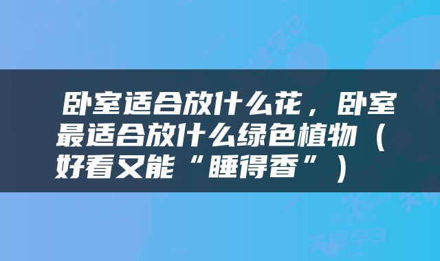  卧室适合放什么花，卧室最适合放什么绿色植物（好看又能“睡得香”） 