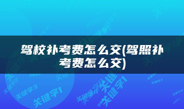 驾校补考费怎么交(驾照补考费怎么交)