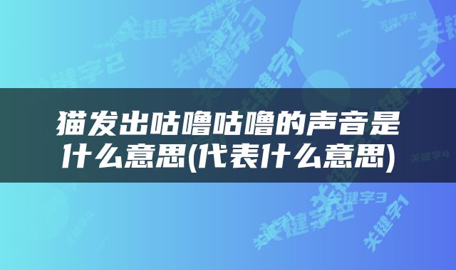 猫发出咕噜咕噜的声音是什么意思(代表什么意思)