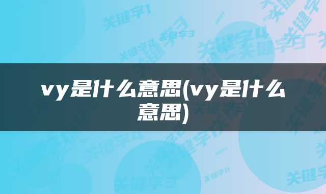 vy是什么意思(vy是什么意思)