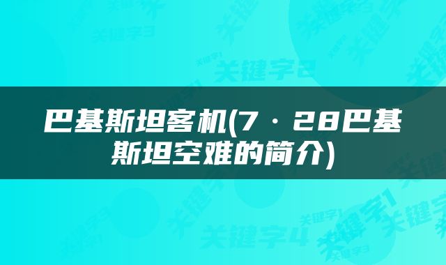 巴基斯坦客机(7·28巴基斯坦空难的简介)