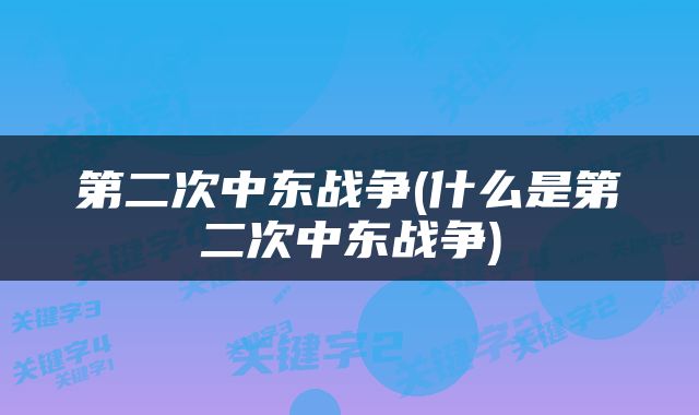 第二次中东战争(什么是第二次中东战争)