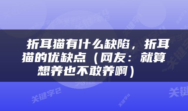  折耳猫有什么缺陷，折耳猫的优缺点（网友：就算想养也不敢养啊） 