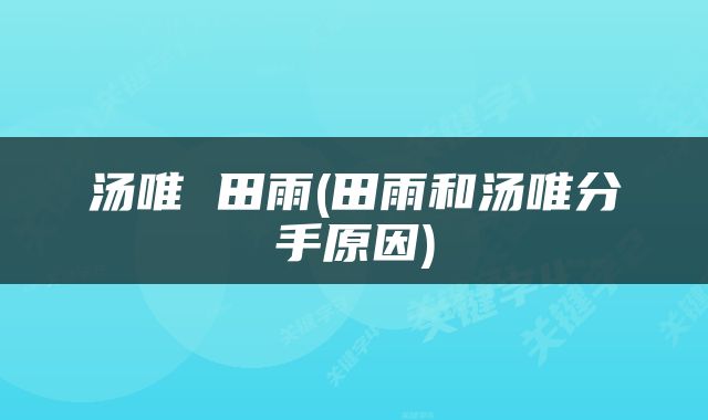汤唯 田雨(田雨和汤唯分手原因)