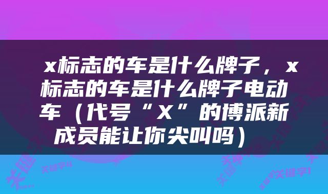  x标志的车是什么牌子，x标志的车是什么牌子电动车（代号“X”的博派新成员能让你尖叫吗） 